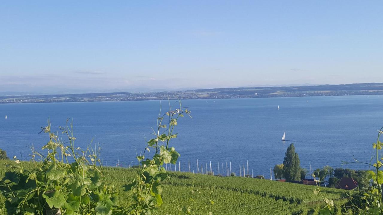 Apartament Neuweiher Daisendorf